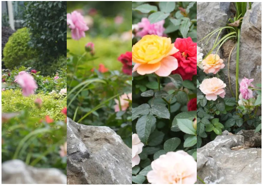 微信图片_20231206171341 微信图片_20231206171341